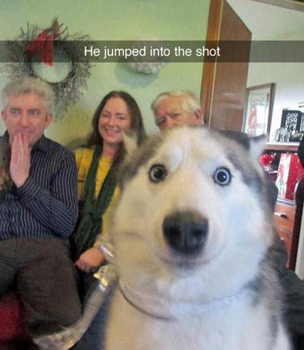 Snap Jumped Into Shot