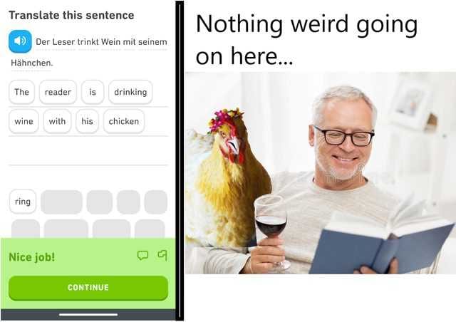 Duo Lingo Over Shoulder Meme