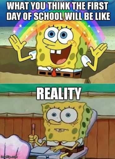 Funny Back To School Memes  Reality Vs Image