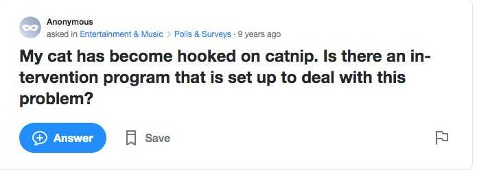 Yahoo Catnip