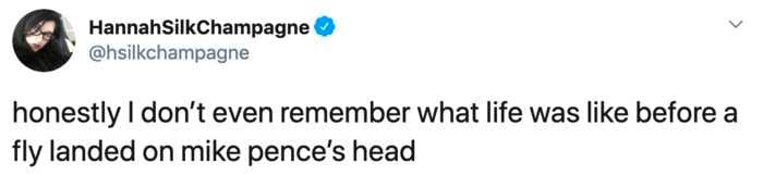 Debate Fly Memes 1