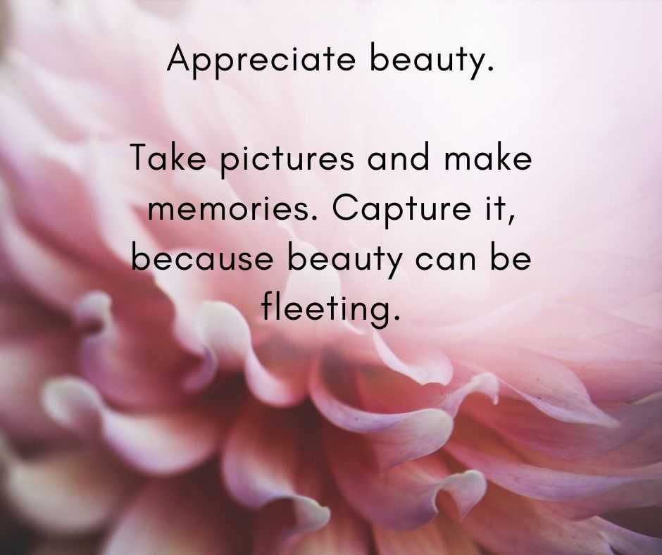 11 Life Lessons Appreciate Beauty 11 Life Lessons Appreciate Beauty