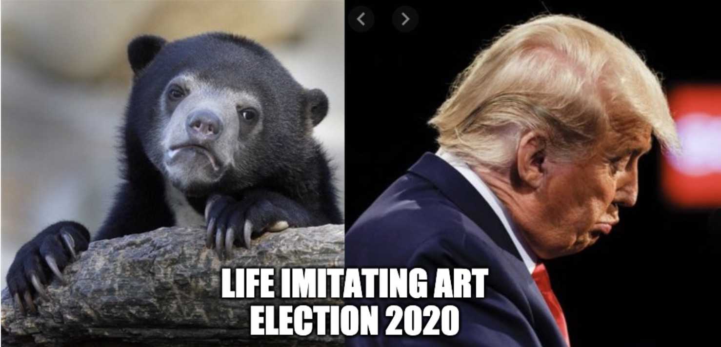 Election Meme  2020 Election