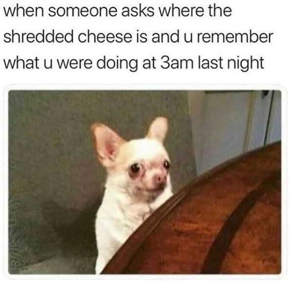 Funny Cheese Memes  Guilt