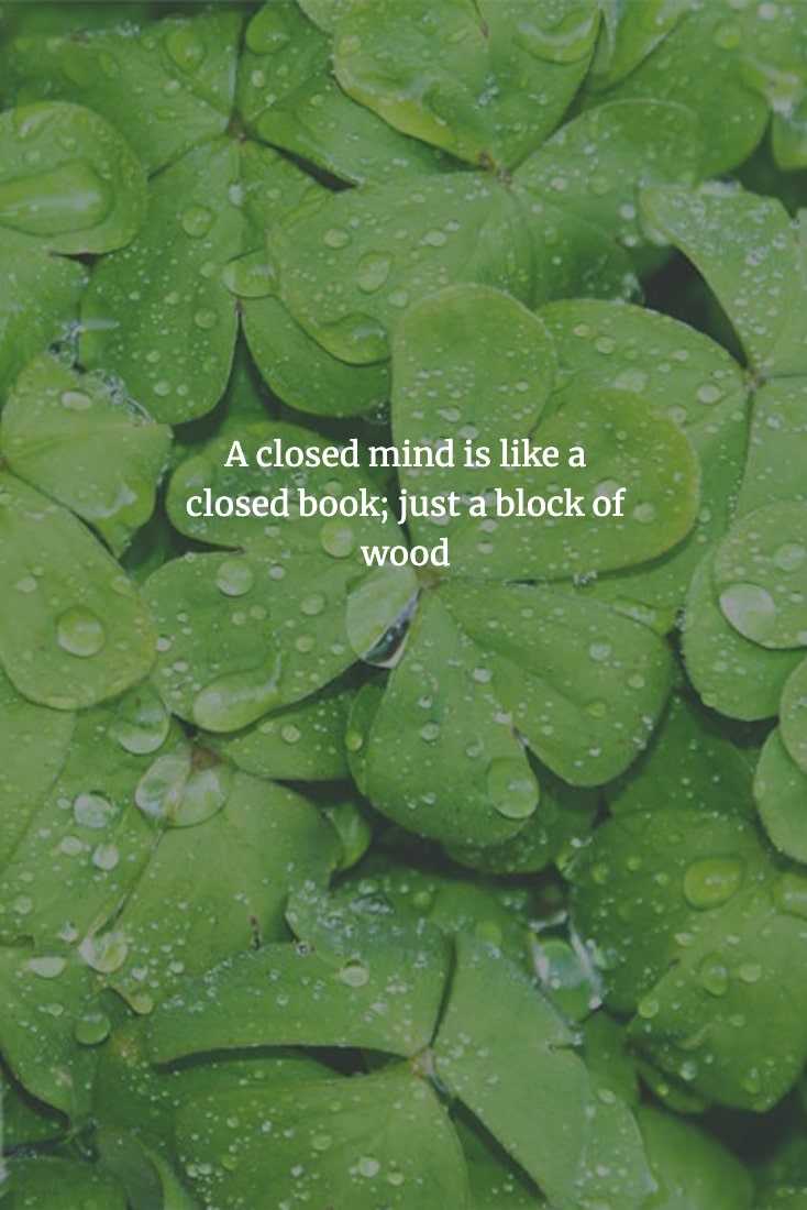 Chinese-Proverbs-To-Enlighten-Your-Mind-16 Chinese Proverb Being Close Minded Is To Be Useless