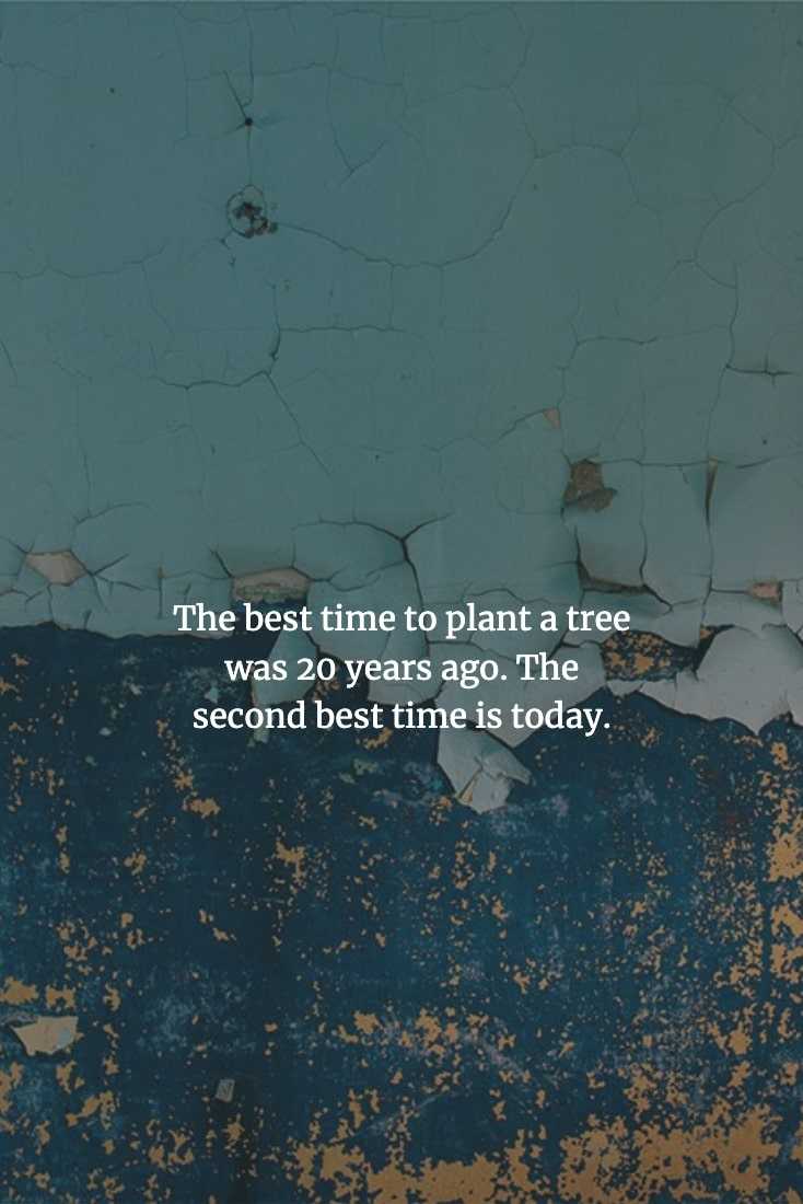Chinese-Proverbs-To-Enlighten-Your-Mind-21 Wise Chinese Proverbs It's Never Too Late To Make A Start