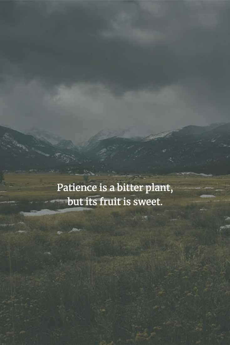 Chinese-Proverbs-To-Enlighten-Your-Mind-24 Chinese Proverbs Patience May Be Hard To Exercise, But The Results Will Be Worth It