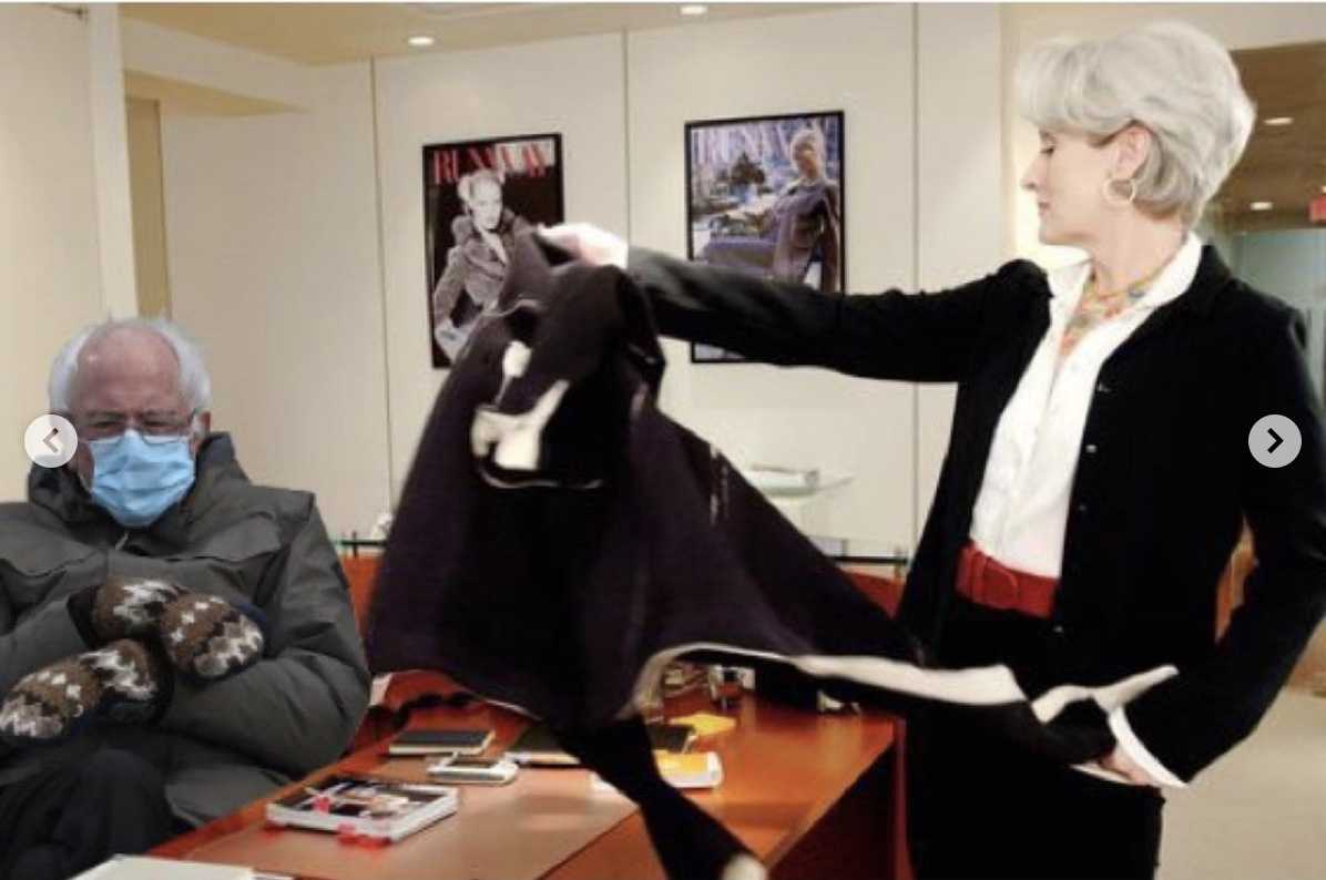 Cold Bernie Memes  Devil Wears Prada