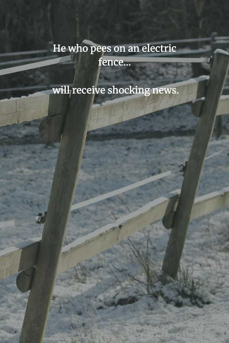 Funny-Chinese-Proverbs-11 Funny Chinese Proverb Peeing On Fences