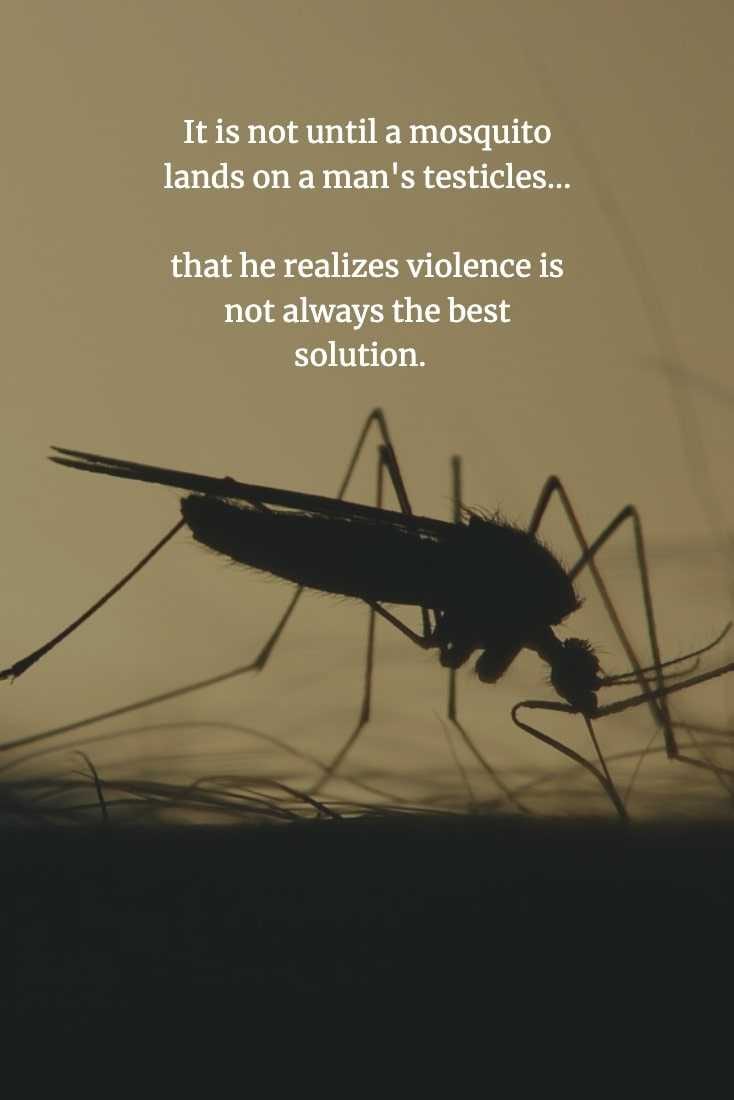 Funny-Chinese-Proverbs-20 Funny Chinese Proverb Violence Is Not The Answer
