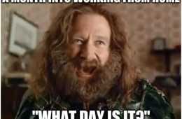 Work From Home Memes