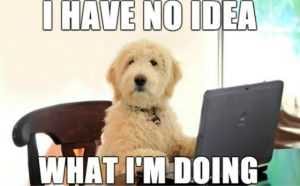 Featmeme Dog Posters Dogs On Computers