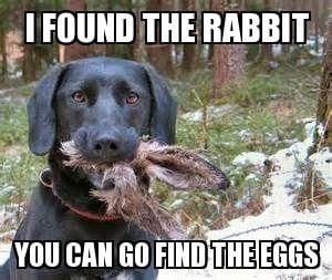 Funny Animal Easter Memes Funny Animal Easter Memes