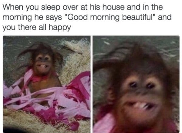 20 Hilarious Relationship Memes To Share With Your Partner 20 Hilarious Relationship Memes To Share With Your Partner