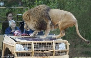 Att00031 Amazing Posts About Animals