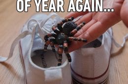 Funny April Fools Pranks And Memes