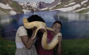 20 Amazing Posts About Animals Close Encounters