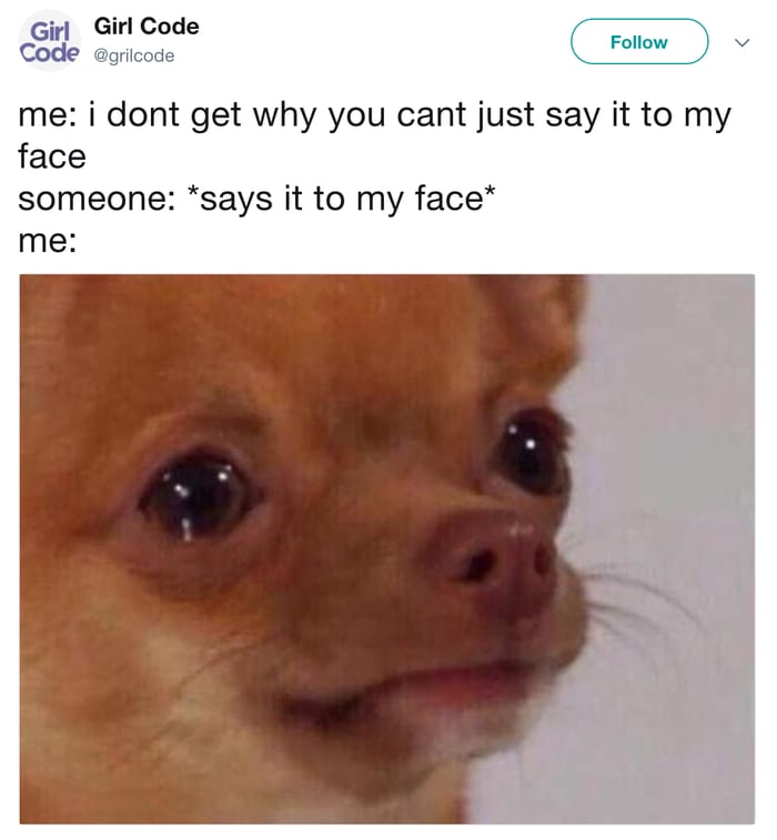 Funny Chihuahua Memes