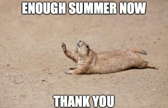 20 Summer Memes To Laugh At 20 Summer Memes To Laugh At