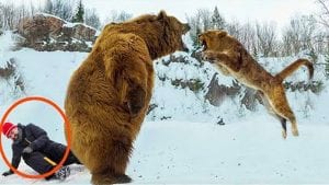 Fefew 20 Amazing Posts About Animals Close Encounters