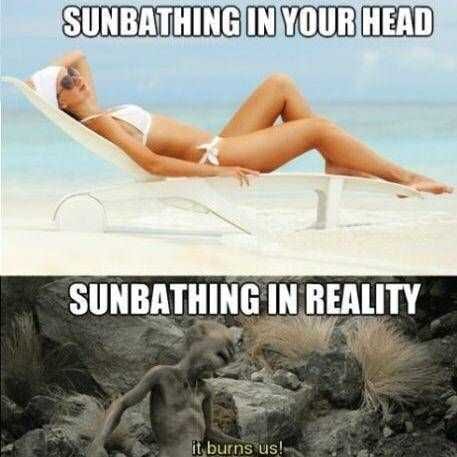 20 Summer Memes To Laugh At 20 Summer Memes To Laugh At