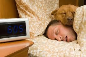 Images 20 Amazing Posts About Animals Close Encounters