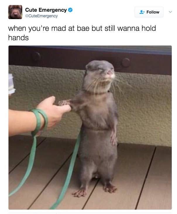 20 Hilarious Relationship Memes To Share With Your Partner 20 Hilarious Relationship Memes To Share With Your Partner