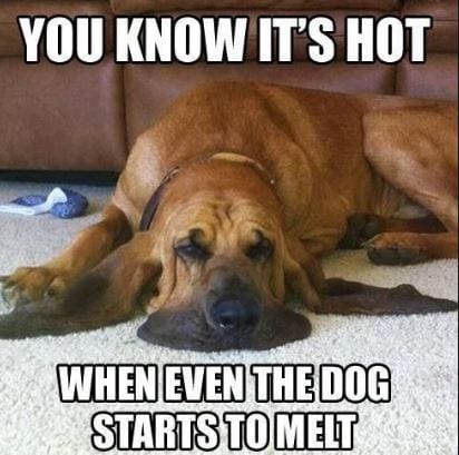 20 Summer Memes To Laugh At 20 Summer Memes To Laugh At
