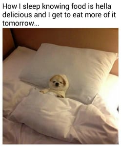 Hilarious Food Memes