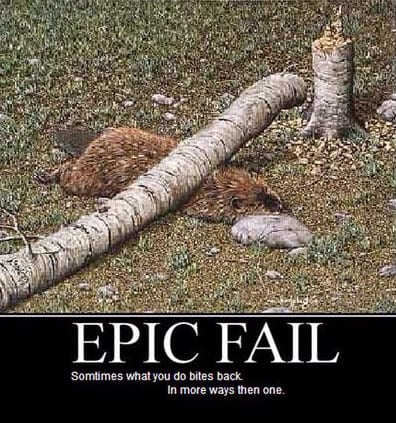 15 &Nbsp;Epic Fails To Laugh At And Share With Friends