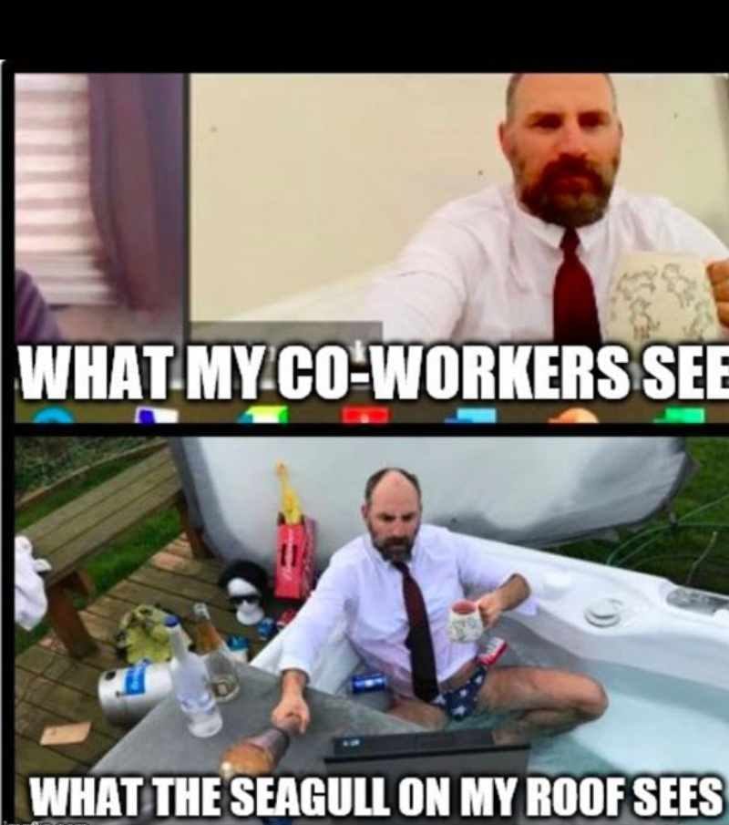 20 Hilarious Zoom Memes To Share With Peers 20 Hilarious Zoom Memes To Share With Peers