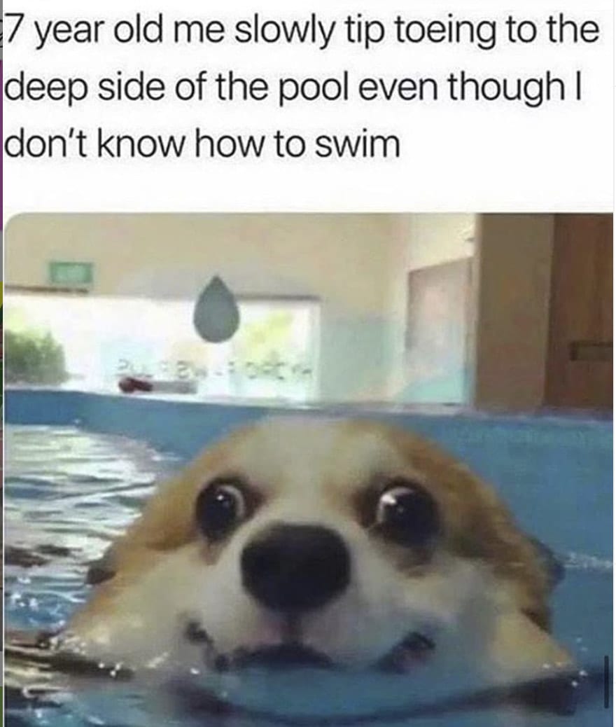 15 Warm And Fuzzy Memes That Will Brighten Up Your Day