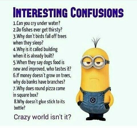 20 Cute And Funny Minion Quotes