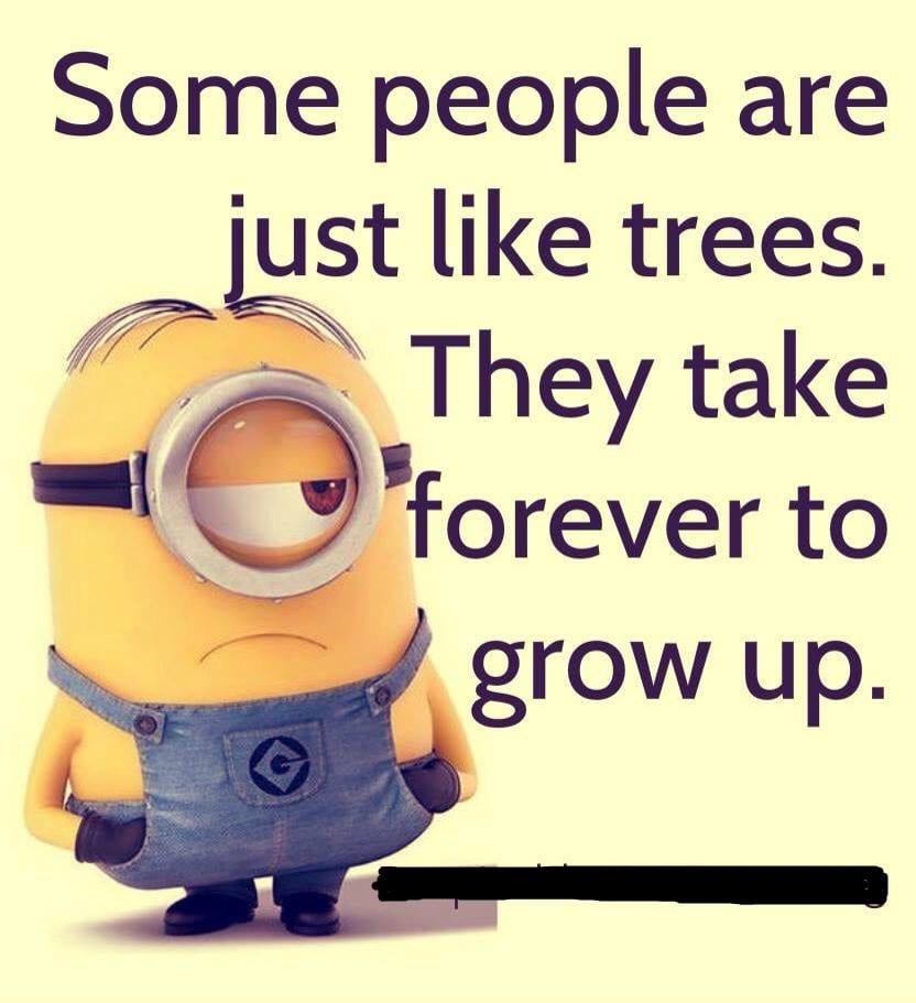 20 Cute And Funny Minion Quotes