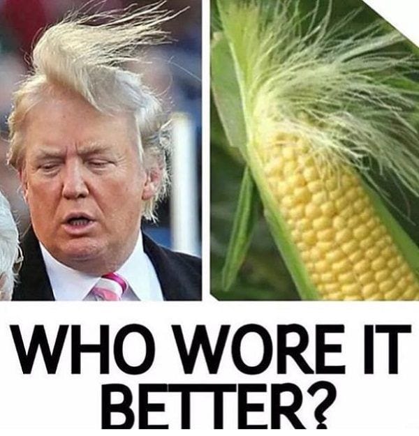 16 Funny Trump Photos That Will Leave You Crying Of Laughter
