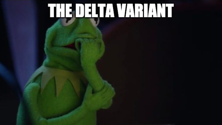 Delta Variant Meme