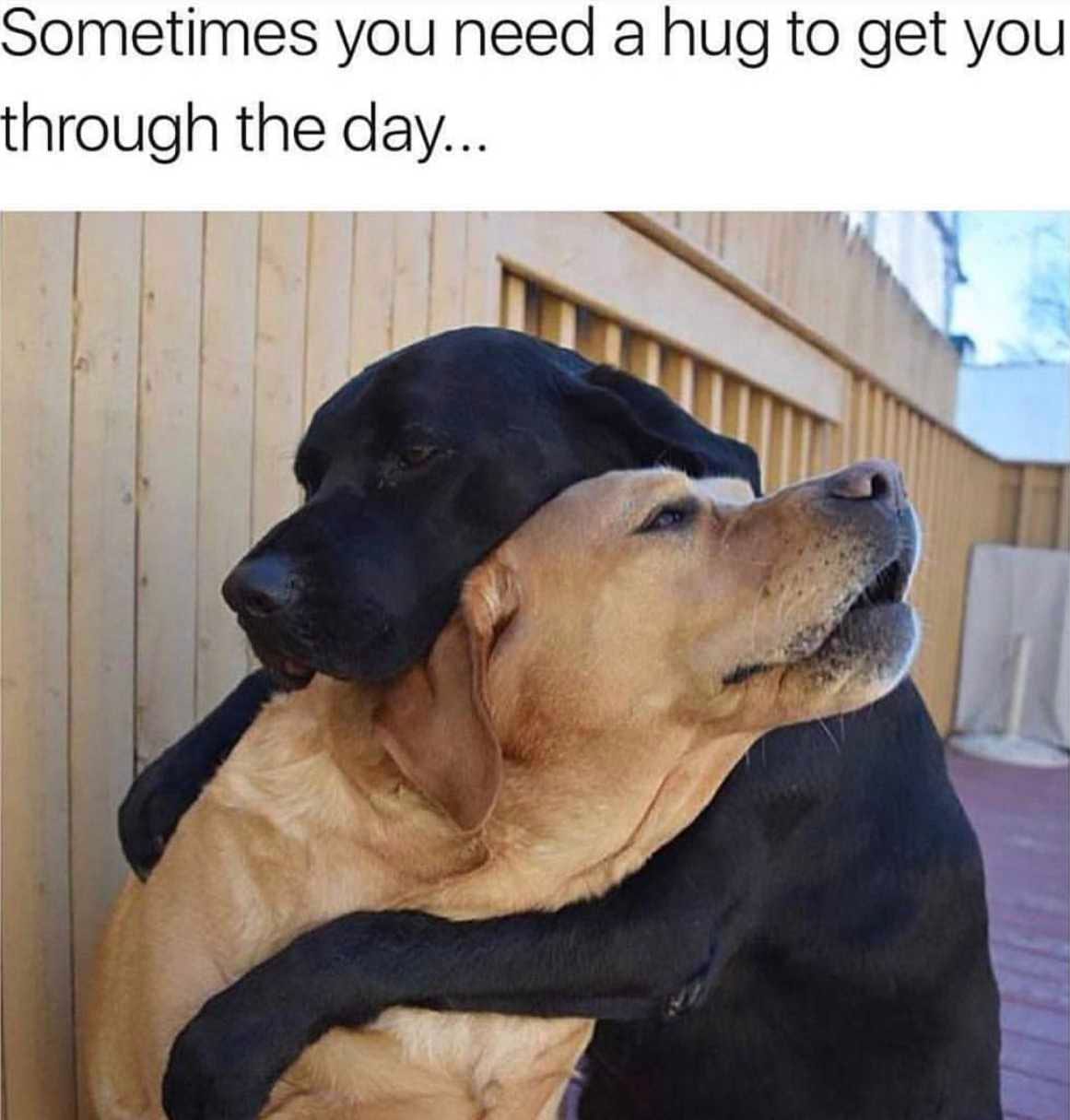 15 Warm And Fuzzy Memes That Will Brighten Up Your Day