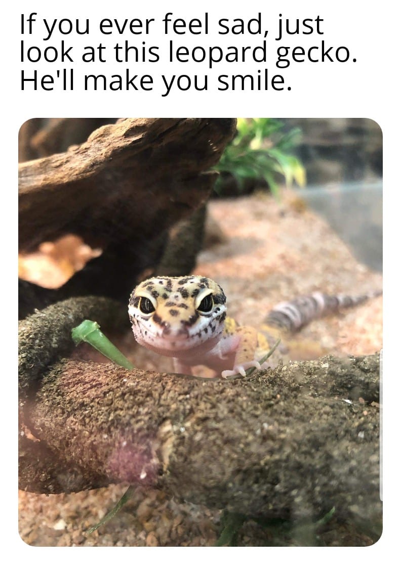 15 Warm And Fuzzy Memes That Will Brighten Up Your Day