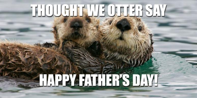 15 Happy Fathers Day Memes To Share With Your Dad