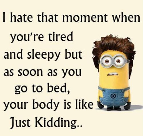 20 Cute And Funny Minion Quotes