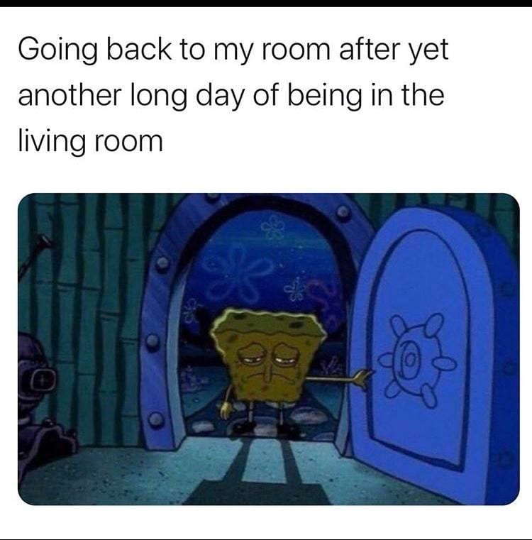 20 Hilarious Sponge Bob Memes&Nbsp;