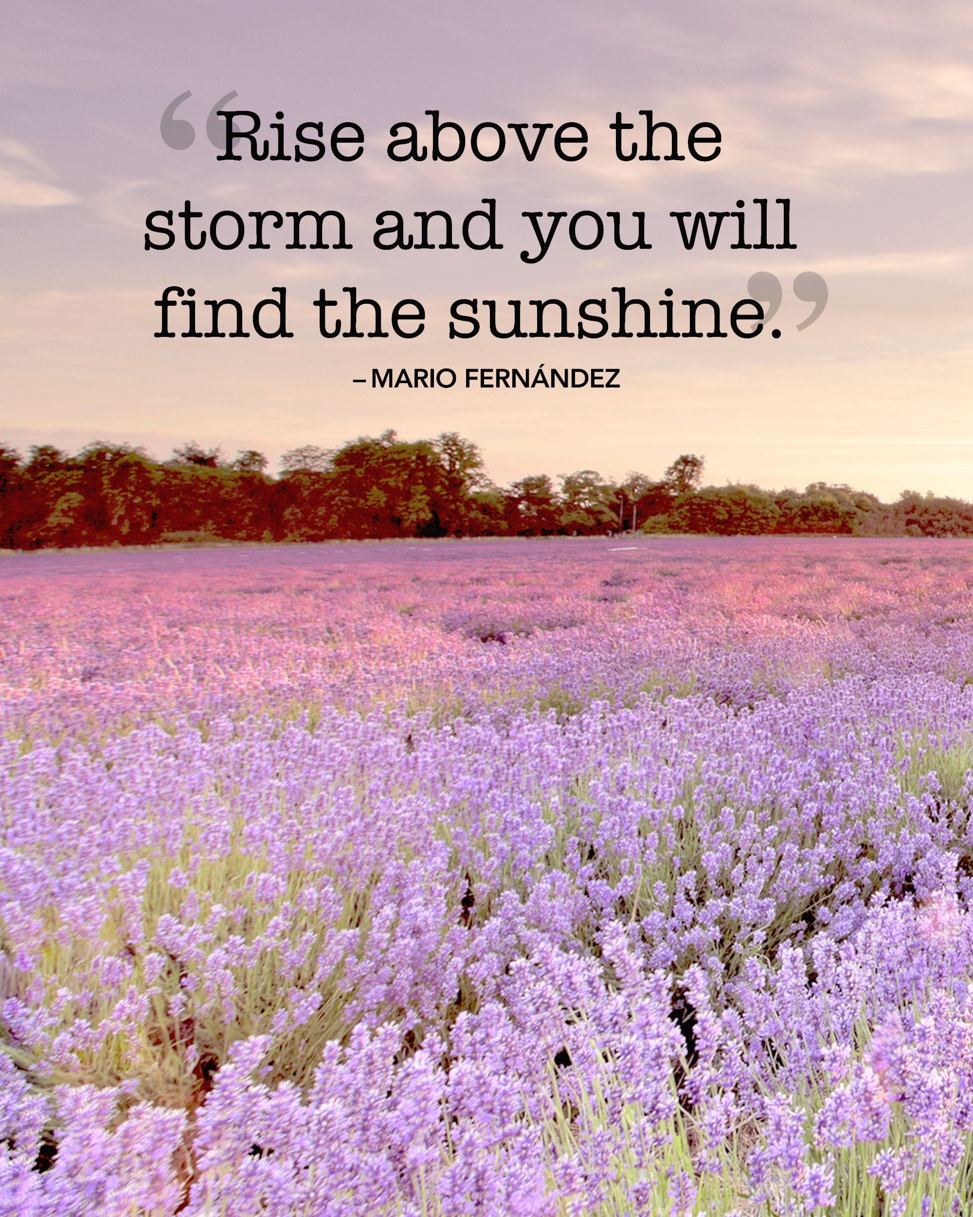 20 Inspirational Summer Holiday Quotes