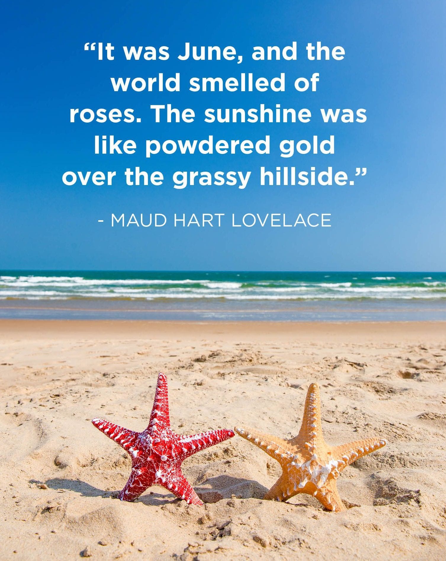 20 Inspirational Summer Holiday Quotes