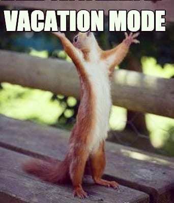 20 Of The Funniest Summer Holiday Pet Pictures