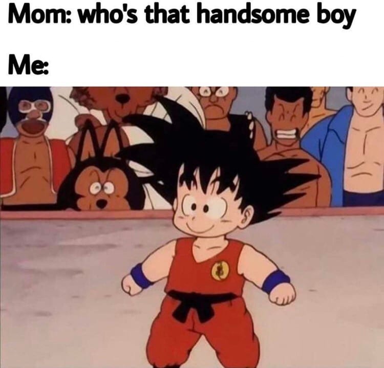 20 Hysterical Dragon Ball Z Memes For Dbz Fans 