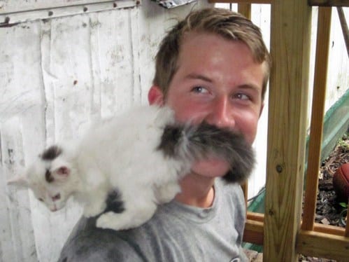 20 Epic Photo Bombs 