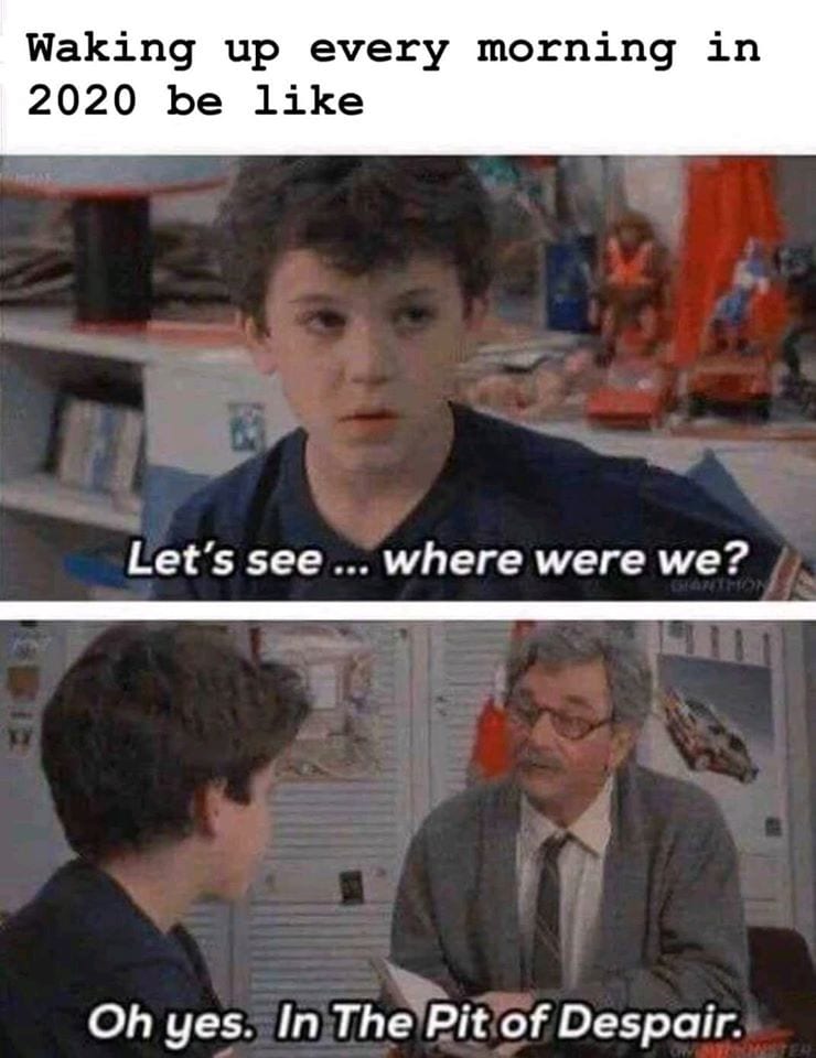 20 Of The Funniest Memes That Sum Up 2020 