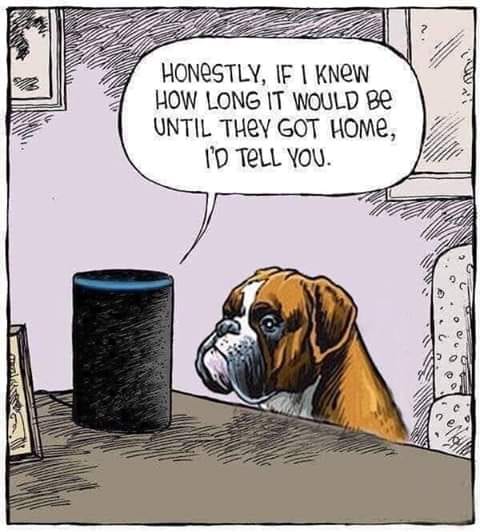 30 Amazing Memes About Pets And Animals 