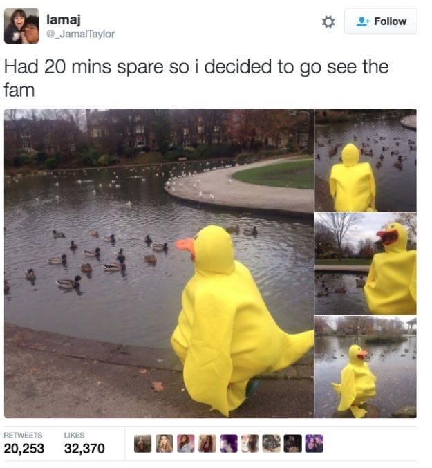 30 Cute And Wholesome Memes To Make You Feel Good