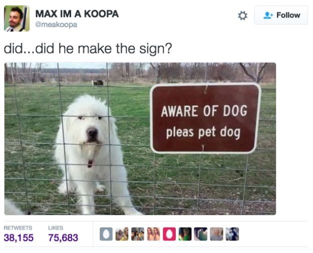 30 Cute And Wholesome Memes To Make You Feel Good
